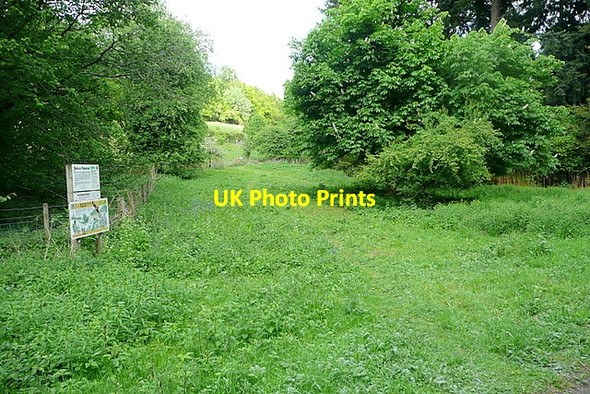 Photo 6"x4" Track in Homefield Wood Bockmer End c2013