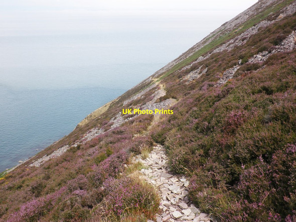 Photo 6"x4" Cliff path to Foreland Point Countisbury c2013