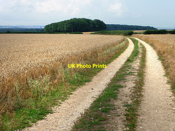 Photo 6"x4" Pitt Hill Lane Rushmore c2013 P1