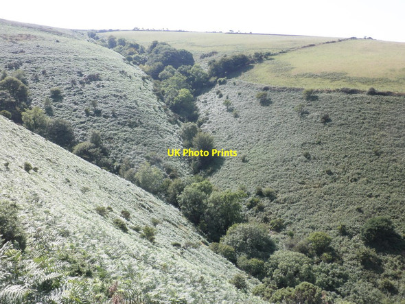 Photo 6"x4" The flank of Butter Hill Countisbury c2013