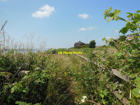 Photo 6"x4" The Trans Pennine Trail towards Hessle Hessle\/TA0326 c2013