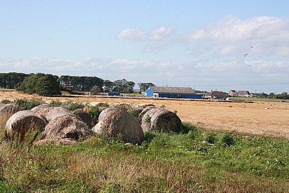Photo 6"x4" Bales Old and New Buckie\/NJ4165 c2008