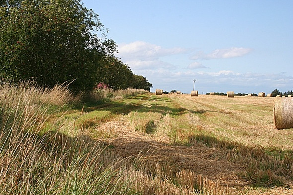 Photo 6"x4" Near Rathven Station Rathven c2008