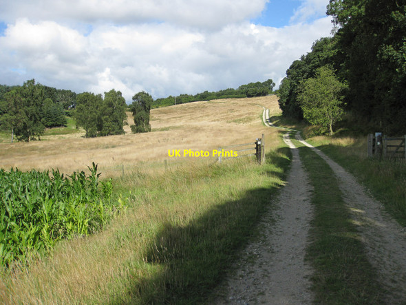 Photo 6"x4" Rising land Crambeck c2013