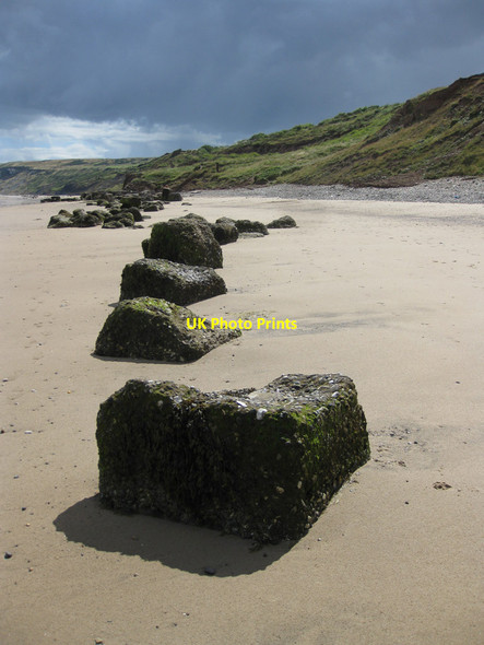 Photo 6"x4" Line of defence Speeton c2013