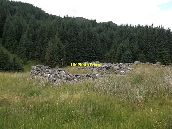 Photo 6"x4" Shieling in Glen Ample Ardchullarie More c2013