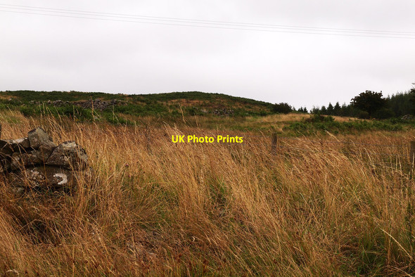 Photo 6"x4" Rough grazing New Luce c2013