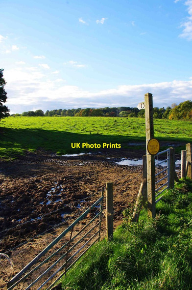 Photo 6"x4" Public bridleway signpost, near Detton Hall, Shropshire Oreton c2012
