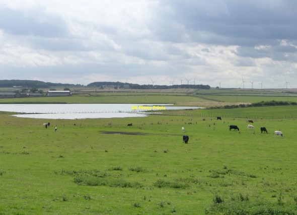 Photo 6"x4" Cresswell Pond Cresswell\/NZ2993 c2013