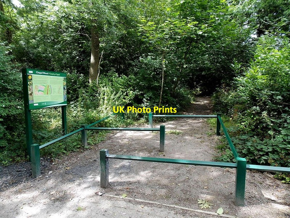 Photo 6"x4" Chapel Wood, Cardiff Llanedeyrn\/ST2080 c2013