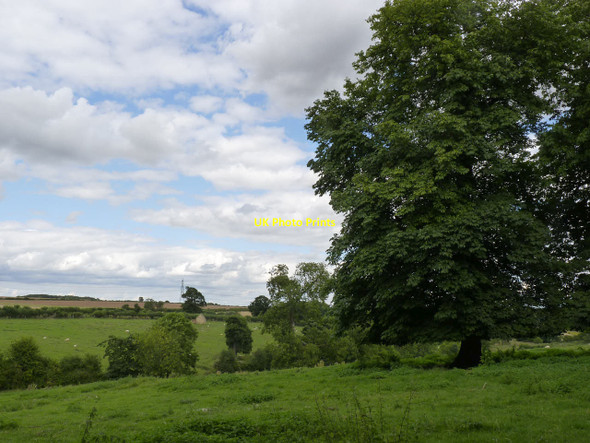 Photo 6"x4" Landscape with chestnut tree Stroxton c2013