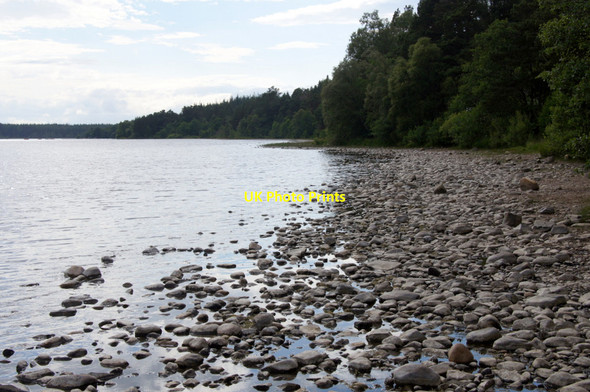 Photo 6"x4" North shore of Loch Morlich Loch Morlich c2013