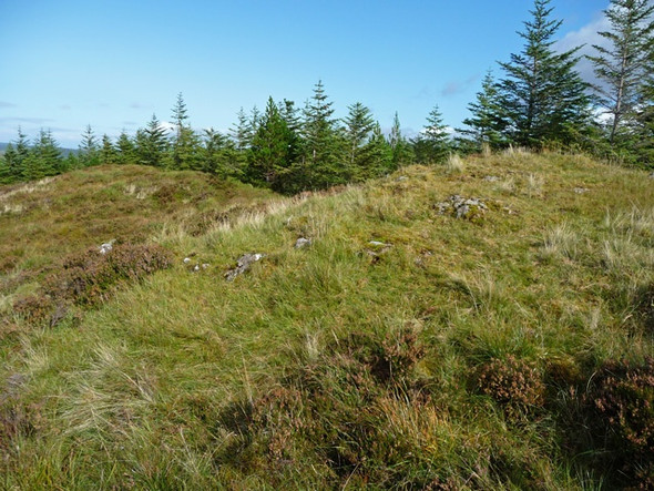 Photo 6"x4" The top of  Druim na Criche Mugeary c2008