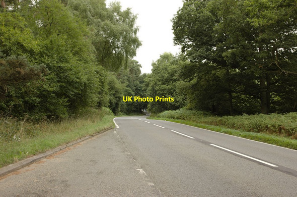 Photo 6"x4" A507 Woburn Road Millbrook\/TL0138 c2013