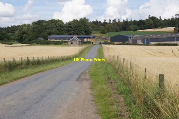 Photo 6"x4" Byres, near Guildtown Guildtown c2013