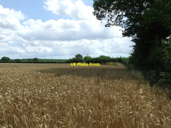 Photo 6"x4" Field Boundary The Woodlands\/TM0540 c2013