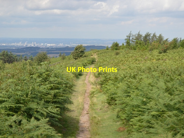 Photo 6"x4" Easby Moor Little Ayton c2013