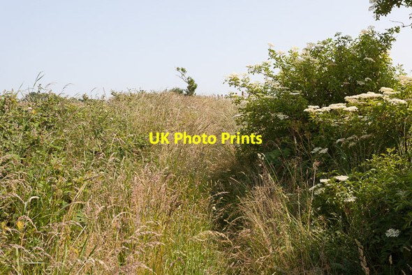 Photo 6"x4" Restricted Byway going towards Coombe Wood Coombe\/SU6620 c2013