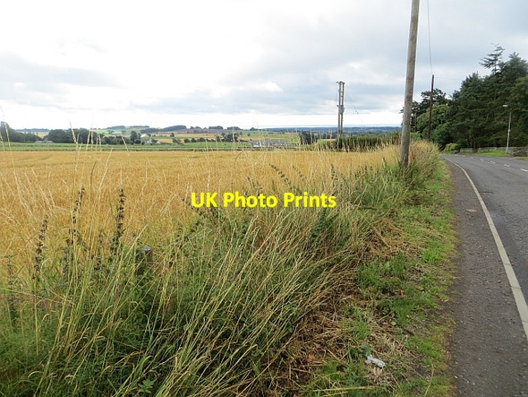Photo 6"x4" Kerryston Bank - site of triangulation pillar Kellas\/NO4535 c2013