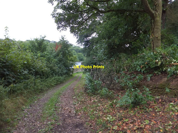Photo 6"x4" Bridleway around the edge of the garden of Ashridge Court Ashridge Court c2013