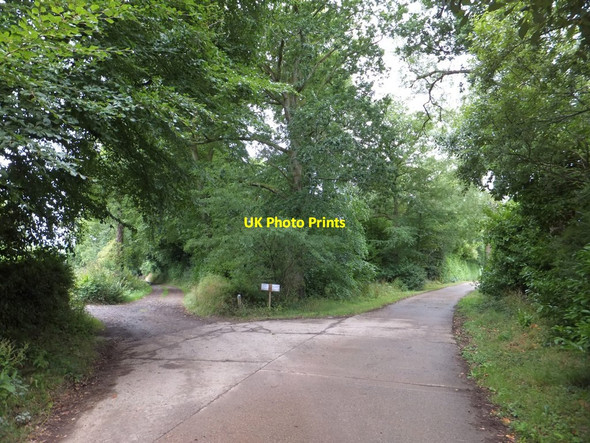 Photo 6"x4" Entrance drive to Ashridge Court Ashridge Court c2013