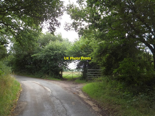 Photo 6"x4" Gates near Skinnersland Ashridge Court c2013