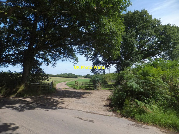 Photo 6"x4" Track to Little Beare Farm Ashridge Court c2013