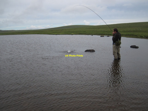 Photo 6"x4" Life in the shallow Waters of Cruss Houbie\/HU6290 c2013