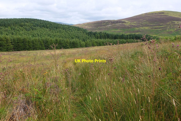 Photo 6"x4" Sketchy path below Black Meldon Harehope\/NT2044 c2013