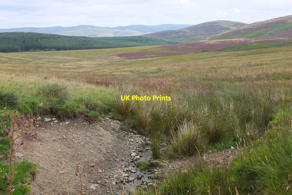 Photo 6"x4" Moorland near Harehope Harehope\/NT2044 c2013