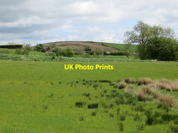 Photo 6"x4" Damp  pasture, Barraston Blairskaith c2013