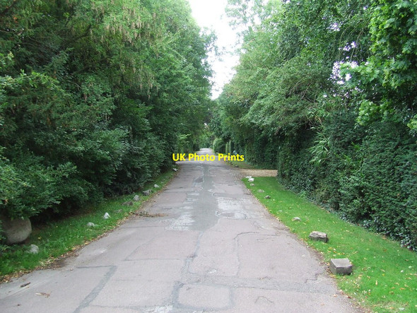 Photo 6"x4" Latham Road Cambridge\/TL4658 c2013