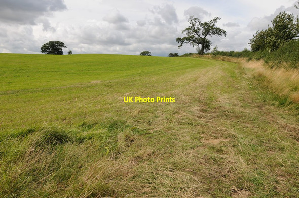 Photo 6"x4" Farmland near Clipston Clipston\/SP7181 c2013