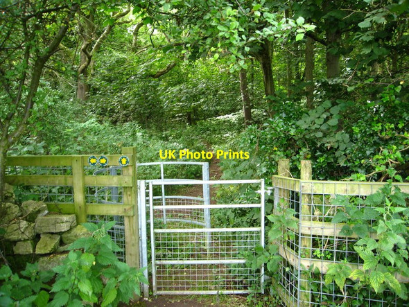 Photo 6"x4" Kissing gate for access to paths beside Glol woodland Berthengam c2013