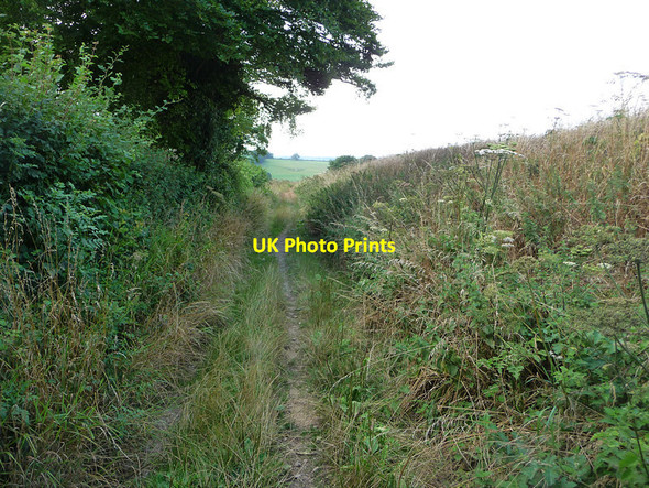 Photo 6"x4" Horse Post Lane Rushmore c2013