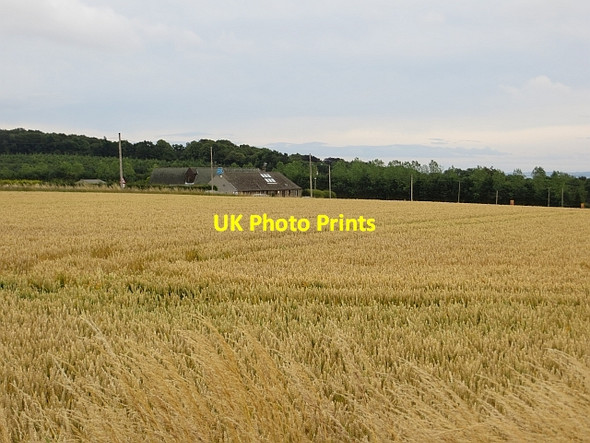 Photo 6"x4" Arable land, Kingennie Monifieth c2013