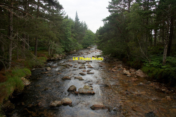 Photo 6"x4" Am Beanaidh, Rothiemurchus Coylumbridge c2013