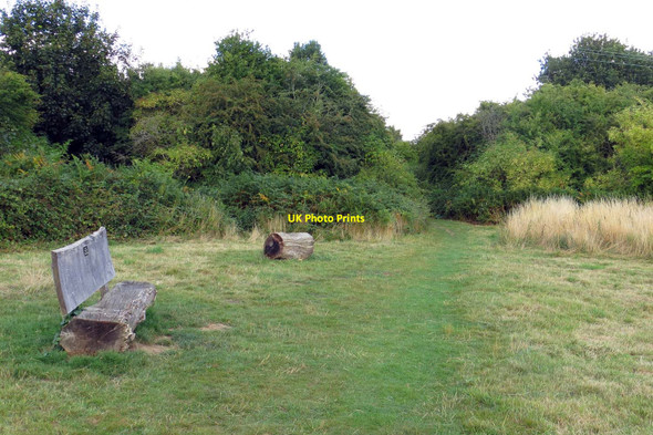 Photo 6"x4" Bench by the footpath East End\/SP3914 c2013