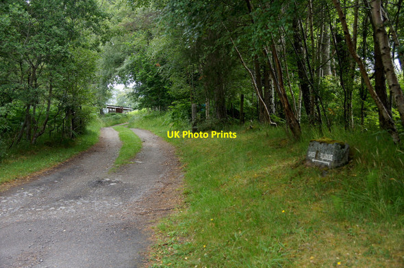 Photo 6"x4" Track to Lower Tullochgrue, Coylumbridge Coylumbridge c2013