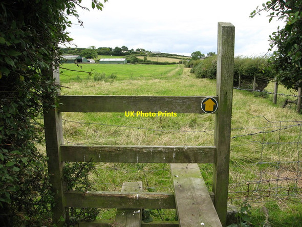 Photo 6"x4" Footpath to Glan-Llyn and Ffordd Trelogan Berthengam c2013