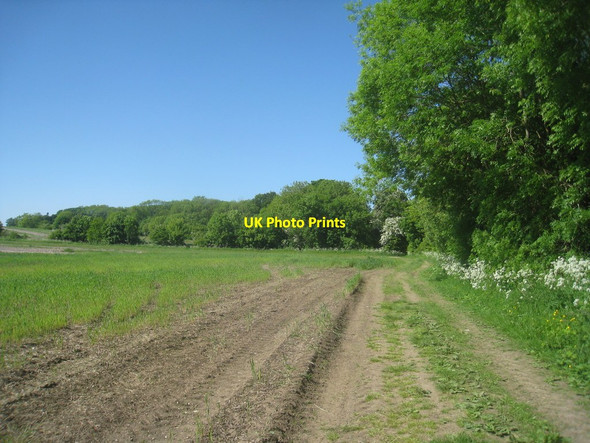 Photo 6"x4" The Wolds Way near Londesborough Londesborough c2013