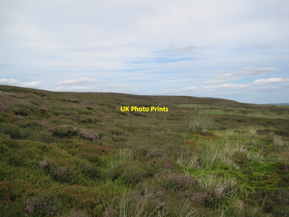 Photo 6"x4" Footpath towards Pawlaw Pike Bollihope c2013