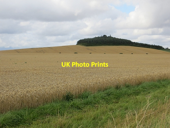 Photo 6"x4" Blake Law East Learmouth c2013