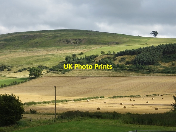 Photo 6"x4" Under Moneylaws Hill Downham\/NT8633 c2013