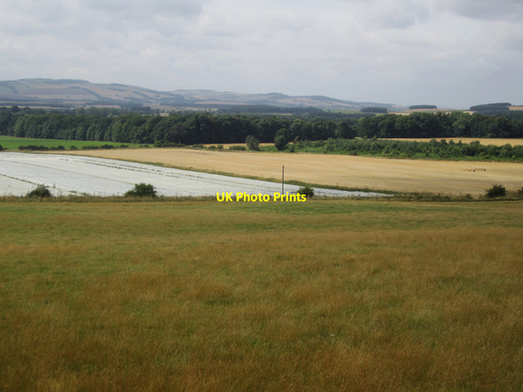 Photo 6"x4" Farmland north of Doddington Doddington\/NT9932 c2013