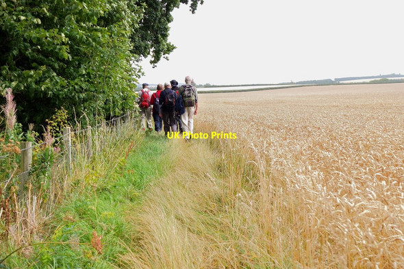 Photo 6"x4" Path alongside wheat field, Maxton Maxton\/NT6130 c2013