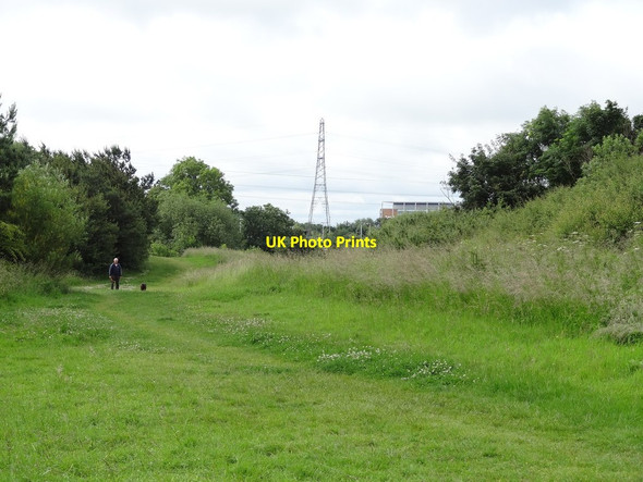 Photo 6"x4" Osiers Nature Area - mound area Braunstone c2013