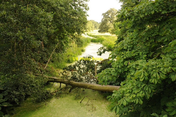 Photo 6"x4" The River Avon in Stanford Park Stanford on Avon c2013