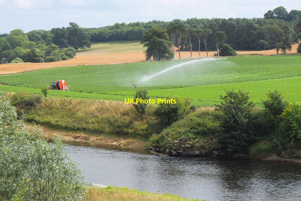 Photo 6"x4" Irrigation sprayer, Mertoun Maxton\/NT6130 c2013