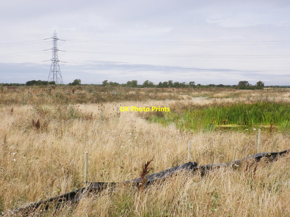 Photo 6"x4" Former pasture, Stockland Bristol Otterhampton c2013